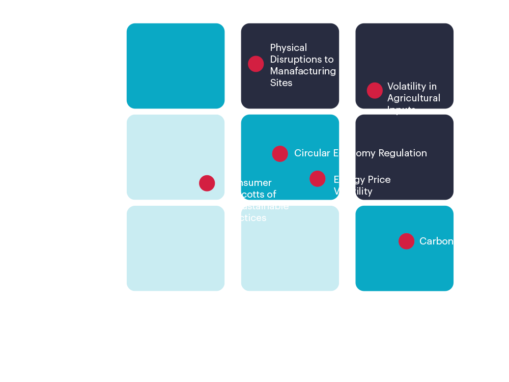 Action 1b Consumer Goods diagram